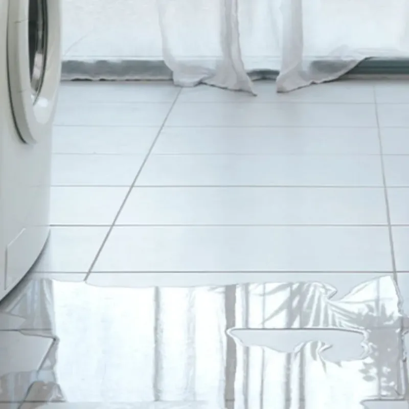 Appliance Leak Cleanup in Rainier, OR