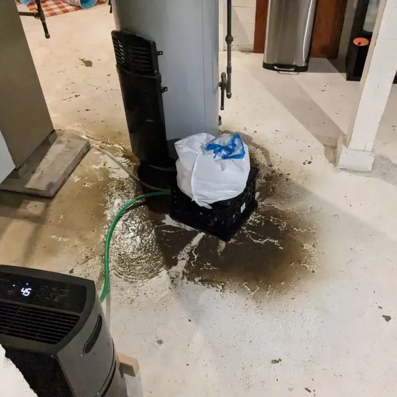 Sewage Backup Cleanup Service in Rainier, OR